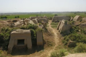 Ajina Tepa